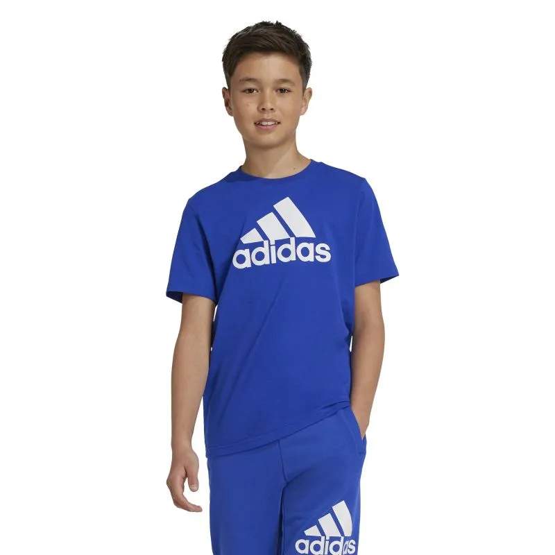 Adidas Boys Big Logo Essentials Tee